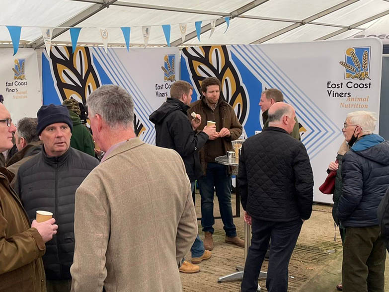 Two 3m InstaStretch Backdrops