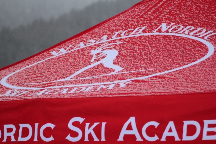 Promotional Printed Gazebos UK